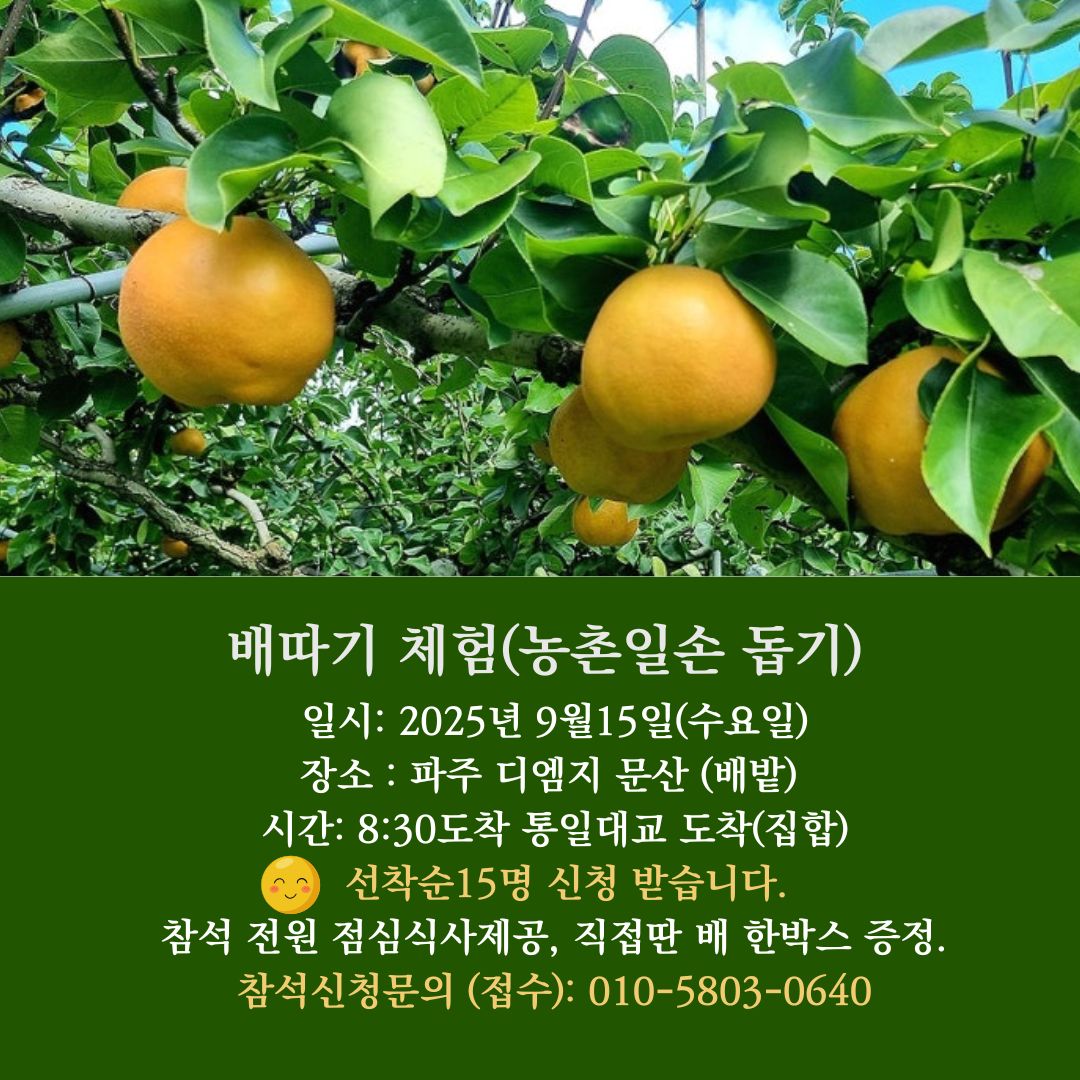 dd903374efcceb89945a8b02cc35a377_1759590338_6856.jpg